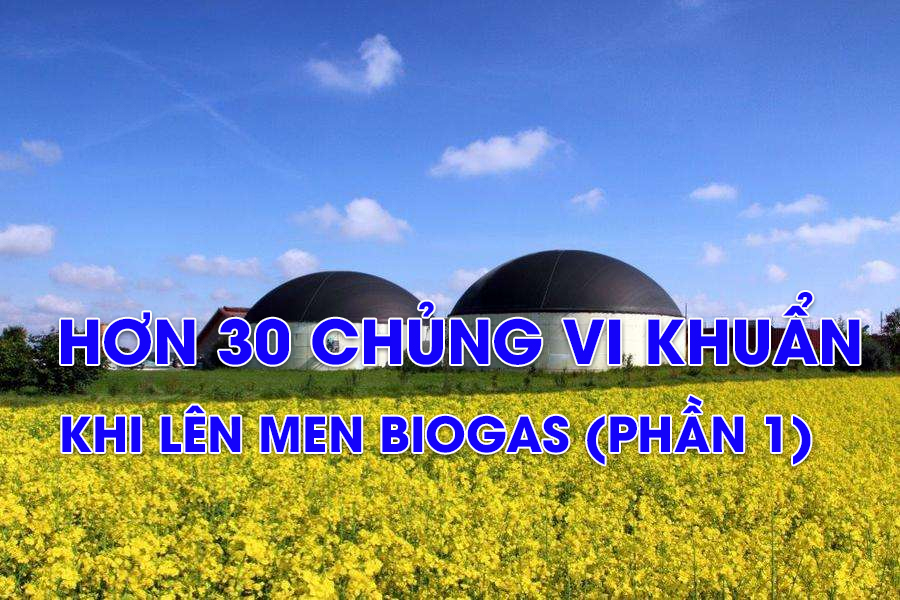 hon-30-chung-vi-khuan-khi-len-men-biogas-phan-1-2