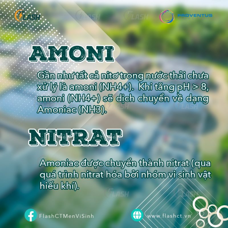 Các dạng nitơ trong nước thải, amoni, nitrat
