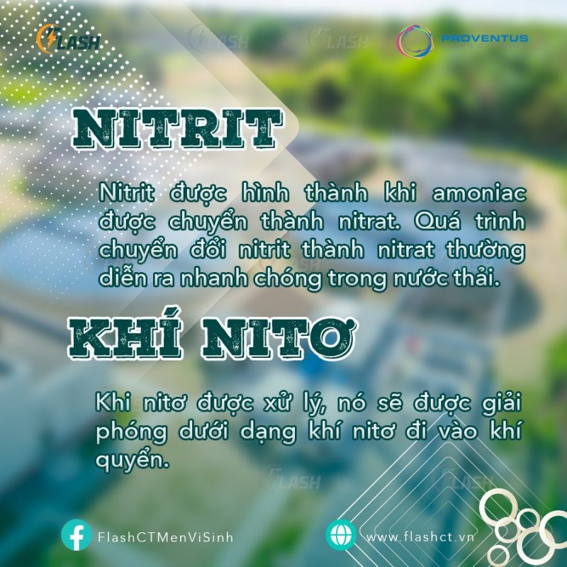 Các dạng nitơ trong nước thải, nitrit, khí nitơ