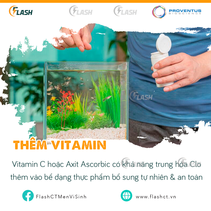 khử clo nước máy nuôi cá bằng vitamin