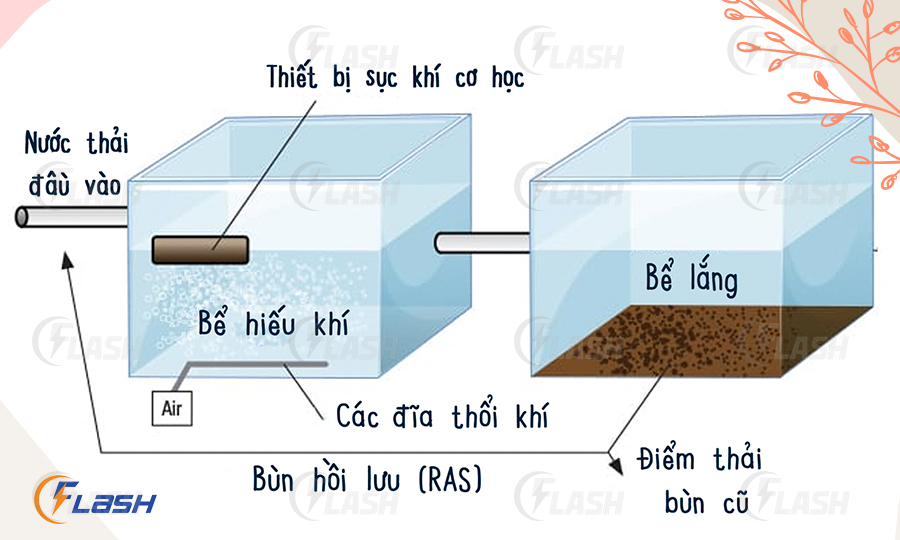 câu hỏi thường gặp về hoạt động của vi sinh xử lý nước thải flash ct