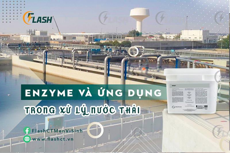 enzyme và ứng dụng của enzyme trong xử lý nước thải