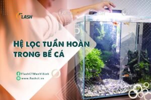 hệ thống lọc xử lý khí độc amoni