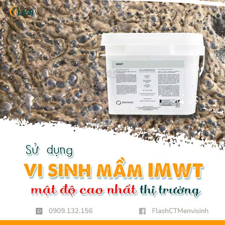 mua men vi sinh xử lý nước thải flash ct