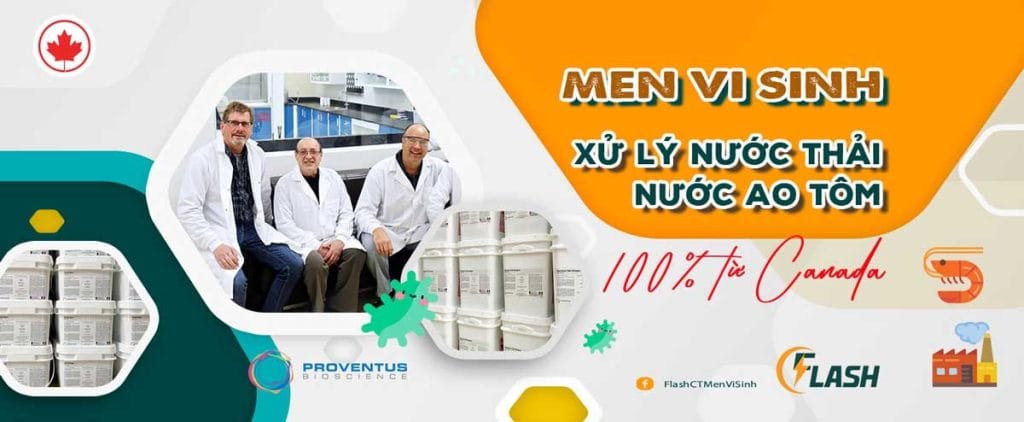 men vi sinh cho ao tôm flash