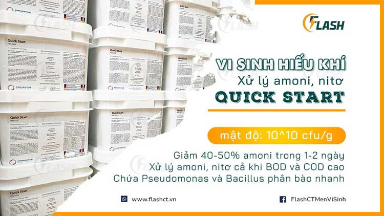 men vi sinh quick start flash 1