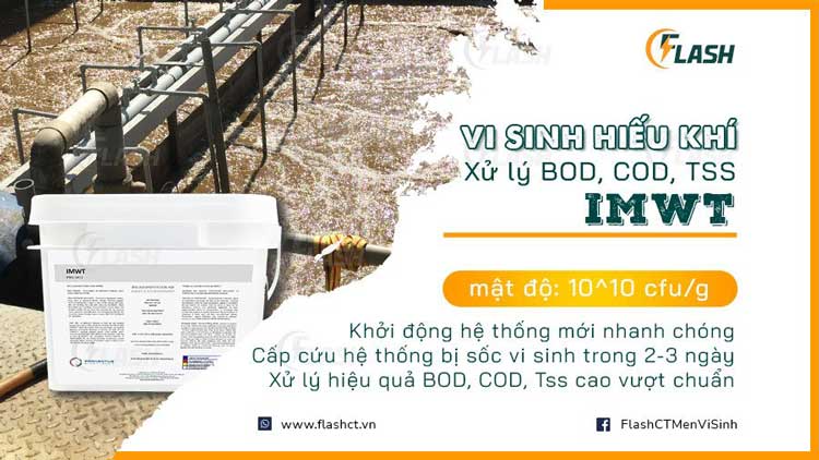 men vi sinh xử lý nước thải chăn nuôi Imwt