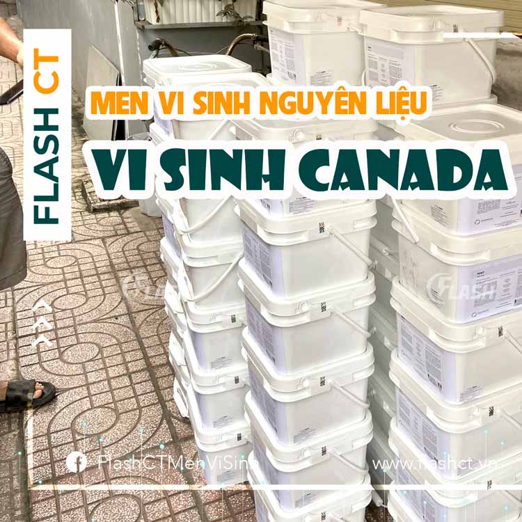 men vi sinh nguyên liệu canada